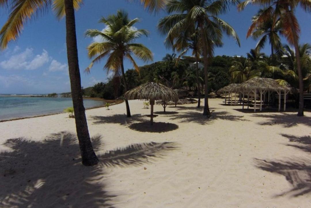 L'Oiseau Du Paradis Vue Mer Studio A Saint Francois A 100 M De La Plage المظهر الخارجي الصورة