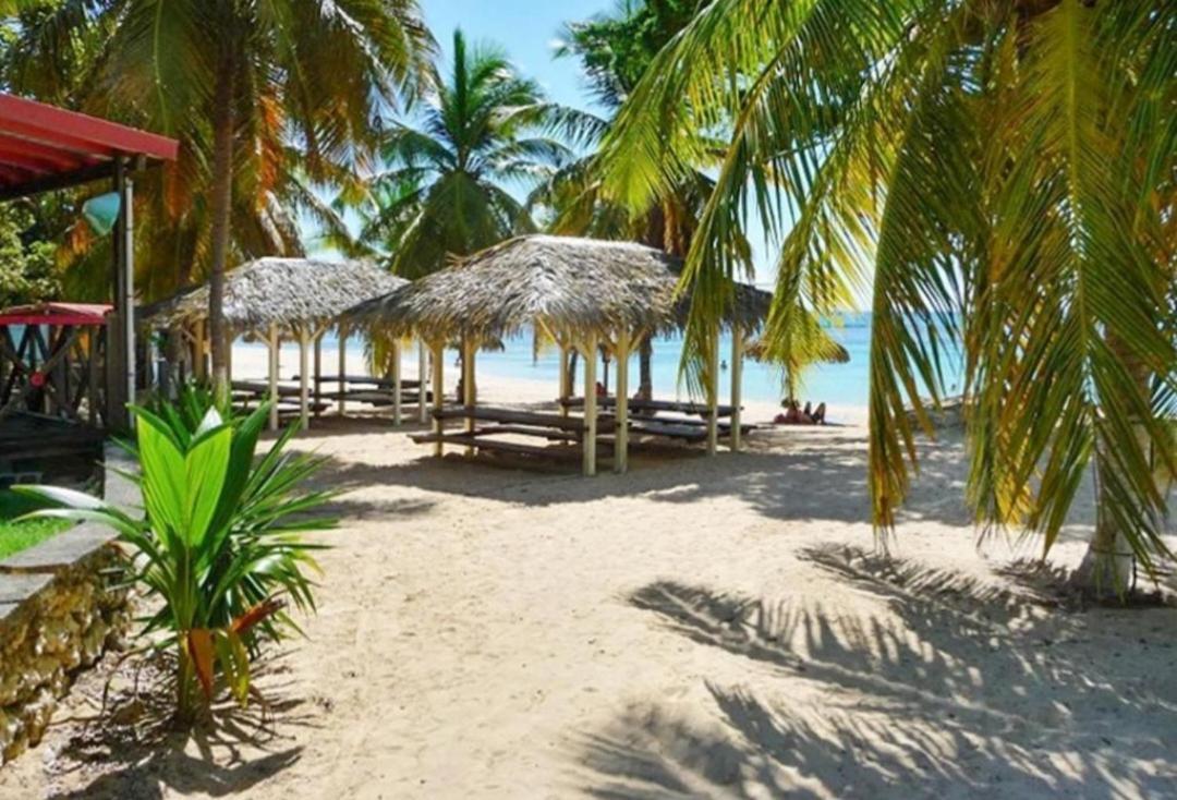 L'Oiseau Du Paradis Vue Mer Studio A Saint Francois A 100 M De La Plage المظهر الخارجي الصورة