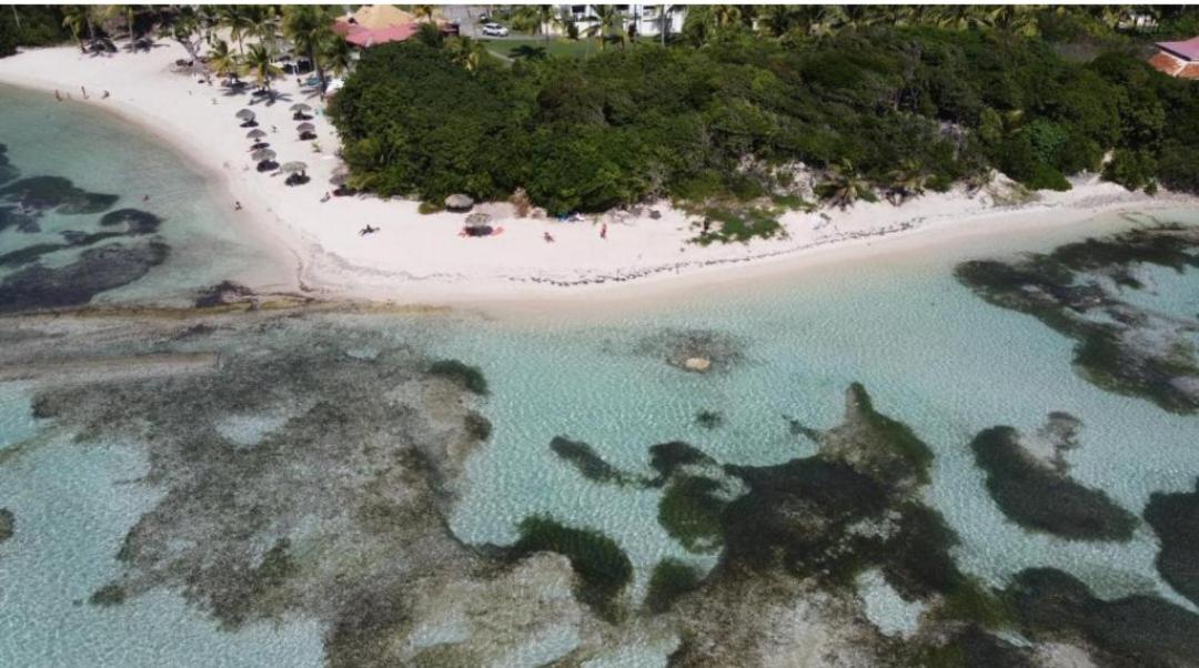 L'Oiseau Du Paradis Vue Mer Studio A Saint Francois A 100 M De La Plage المظهر الخارجي الصورة