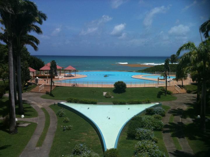 L'Oiseau Du Paradis Vue Mer Studio A Saint Francois A 100 M De La Plage الغرفة الصورة