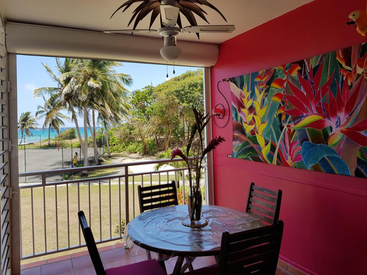 L'Oiseau Du Paradis Vue Mer Studio A Saint Francois A 100 M De La Plage المظهر الخارجي الصورة